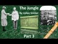 Part 3 - The Jungle by Upton Sinclair (Chs 08-12)