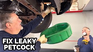 How To Stop A Radiator Pet From Leaking