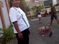 image Merpati Tinggi Narogong 4nr Part 2