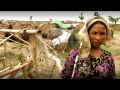 TV3 - Món 324 - Desposseïts entre els desposseïts