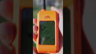 The Dog Trace X20 Gps Tracking Collar