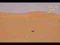 هدد الطيور حشار وسياف و فراج على حباري