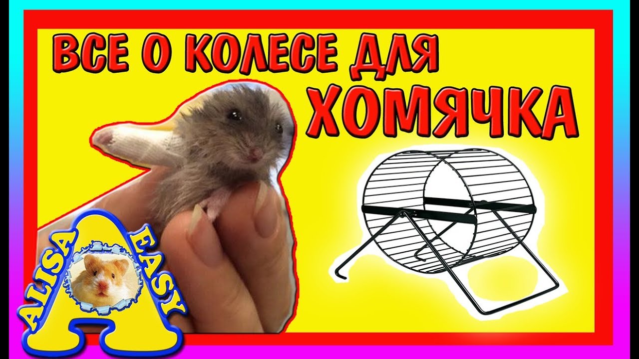 Колесо хомяков своими руками 77 Колесо хомяков своими руками 845
