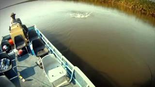Fly for Tigers SFA SA fly fishing film competition 2012 freshwater category winner
