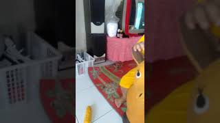 Mainan Kuda Kudaan Anak