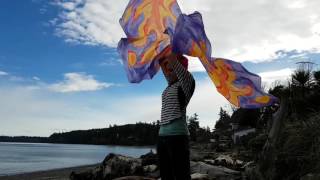 Watch Sons Daughters Flags video
