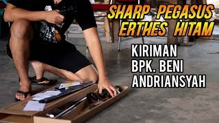 Kiriman Bpak Beni Andriansyah Sharp Pegasus Erthes Hitam