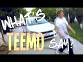 Instalok What Does Teemo Say Ylvis Fox Parody images Instalok What Does Teemo Say Ylvis Fox Parody