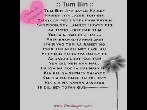 (¯`v´¯)-» Tum Bin Jiya Jaye Kaise «-(¯`v´¯)