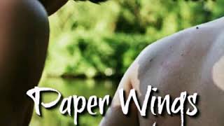 Watch Little Auk Paper Wings video