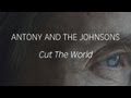 Cut the World
