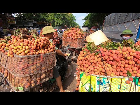 Ngỡ ngàng chợ Vải Thiều giá siêu rẻ cuối mùa chỉ 10k/kg đến 35k/kg ở Lục Ngạn Bắc Giang
