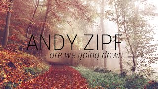 Watch Andy Zipf Are We Going Down video