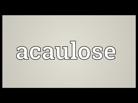 Header of Acaulose