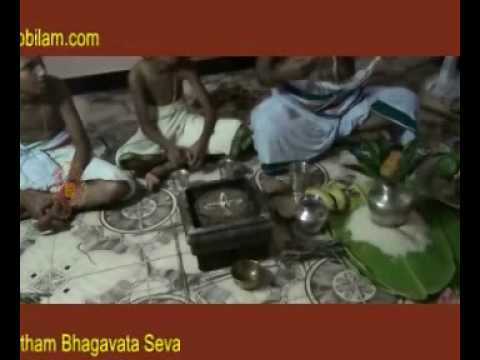 01-preparation.wmv