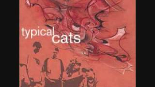 Watch Typical Cats Intro video