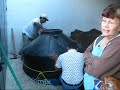Video Installing water tank and pump
