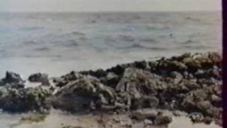 Watch Dalida Parlezmoi Damour video