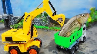 Truck, Auto Dump Truck Rescue Fish From Crocodile | Car Toys Video For Kid | #CarToysTV