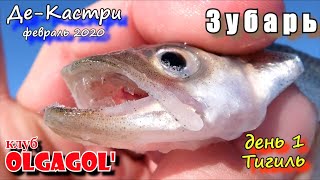 Видео Де Кастри 2020 февраль Корюшка Зубарь. день 1 Тигиль от рыбацкий клуб Olgagol', Кастри, Сент-Люсия