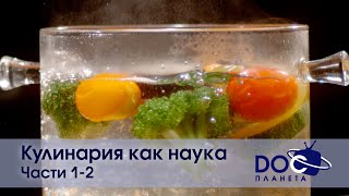 Кулинария Как Наука. Части 1-2 - Документальный Фильм - Сборник