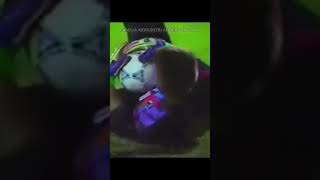 UAZTwu3Dlyc Video Image