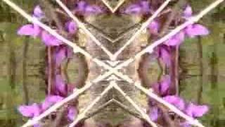 Watch Blow Pile Of Gold video