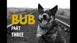 Bub Part Three A Dog And His Best Friend Drama