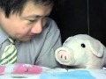 2010/11/28 ぶひたん競馬
