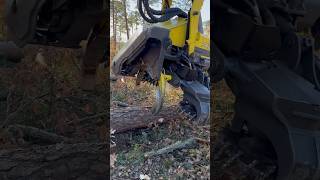 How To Take The Tree And Break It Into Pieces With The 1270G #Harvester #Johndeere #Viral #Trending