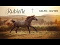 Rubielle  24.06.2014  -  28.02.2020