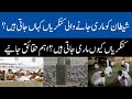 Hajj 2022 - Why Hajj pilgrims perform devil stoning ritual? Rami Jamarat