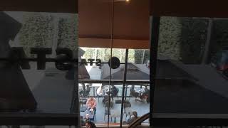 Mini Vlog