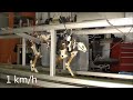 MIT Cheetah runs at 22 km/h, Gait transition from trot to gallop