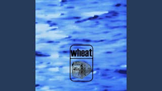 Watch Wheat Soft Polluted Blacks video