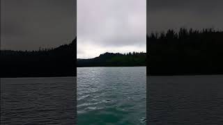 Nature Teach Us A Lesson