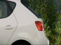 SEAT Ibiza Ecomotive (Exterior y detalles) - SOBRECOCHES