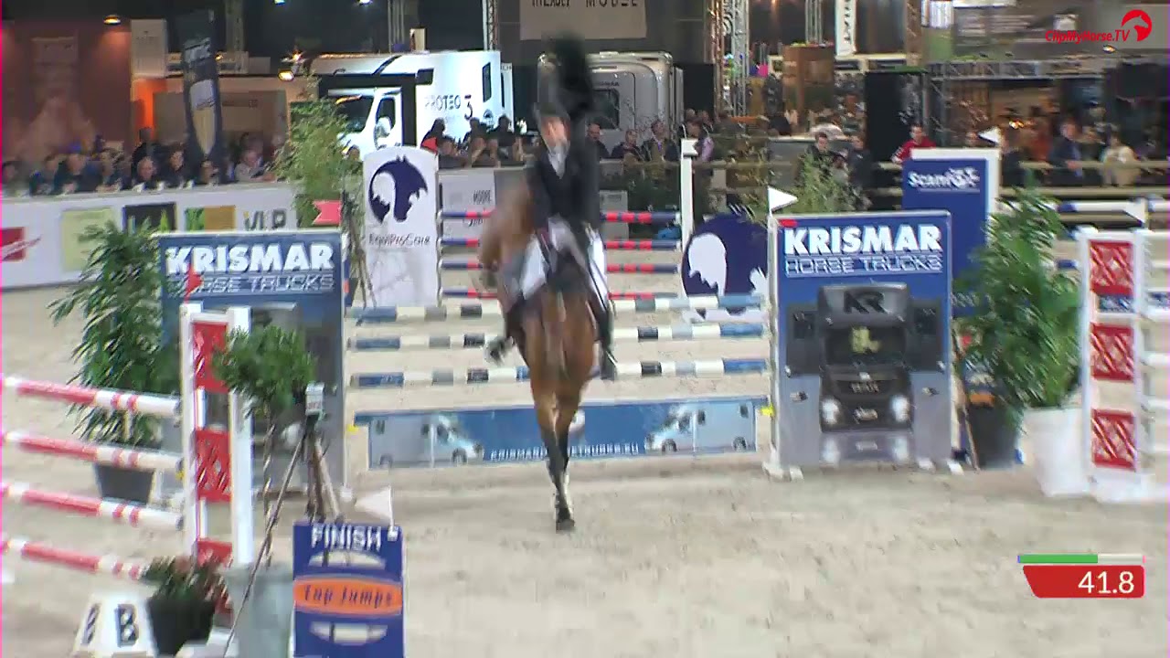 Amadeo van 't Vossenhof z stallion competition Gent 2019