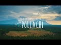 A Paradise Called Pollachi
