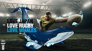 Love Japan, Love Rugby, Love Whales video | Rugby World Cup 2019 | Whale and Dolphin Conservation