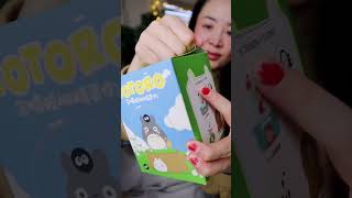 Cajitas Misteriosas De Totoro