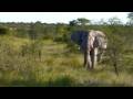 In Africa With Gap Adventures - Part 1