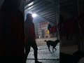 Tki Kaburan images Tki Kaburan