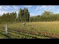 Mira Vos - Episodio 03 - Verduras - Bloque1