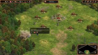 A Quik look at Age of Empires Definitive Edition