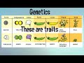 A year of Life Science in 3 minutes-Middle School Science