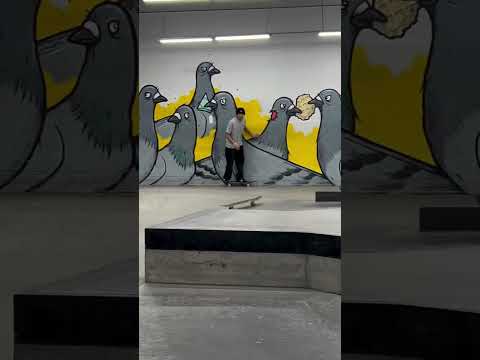 Nicholas Ramos Sunday Funday