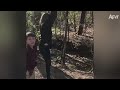 Things We Feel Bad LAUGHING AT! 🤣😂 | Funny Videos | AFV 2019