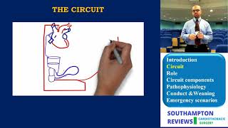 Cardiopulmonary Byp Circuit
