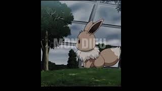 I Cry I Pray Eevee Edit